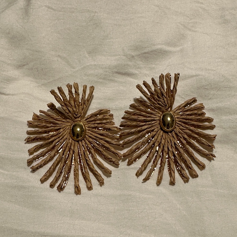 Gold and Brown Statement Earrings
